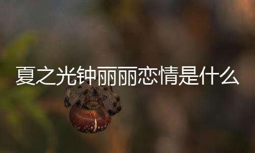 光钟光钟个人夏之夏之么情是什是谁丽丽恋情丽丽资料介绍况